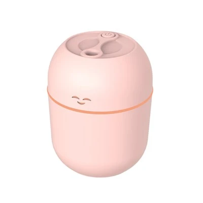 Mini drėkintuvas veidui